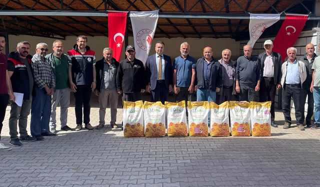 Ayçiçeği Ekimi Artıyor: Çiftçilere Yüzde 50 Hibe Destek