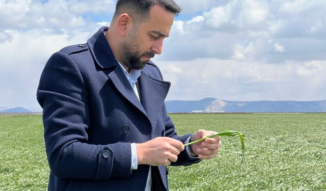 Dolu ve Yağmur Çiftçiyi Vurdu: “Mantar Hastalıklarına Karşı Önlem Alın”