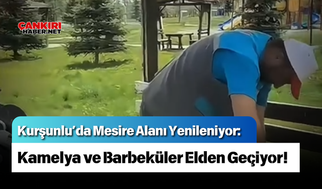 Kurşunlu’da Mesire Alanı Yenileniyor: Kamelya ve Barbeküler Elden Geçiyor!