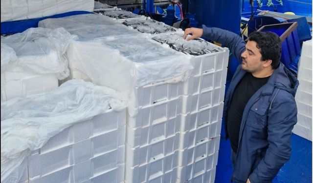 Sürdürülebilir Avcılığa Vurgu: 345 Denetim, Milyonlarca Ton Balık