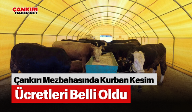 Çankırı Mezbahasında Kurban Kesim Ücretleri Belli Oldu