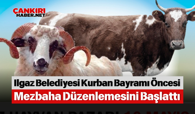 Ilgaz Belediyesi Kurban Bayramı Öncesi Mezbaha Düzenlemesini Başlattı