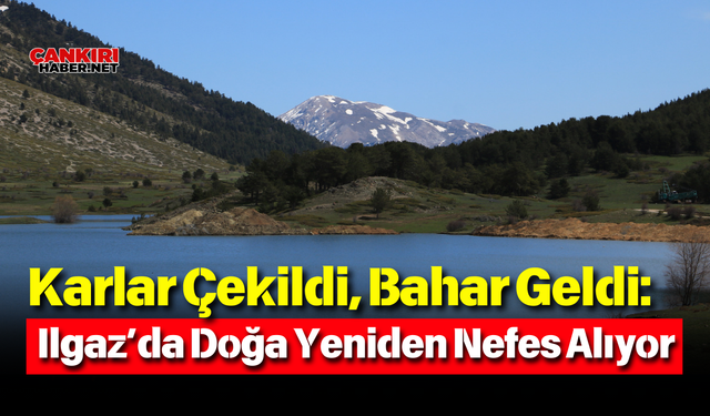 Karlar Çekildi, Bahar Geldi: Ilgaz’da Doğa Yeniden Nefes Alıyor