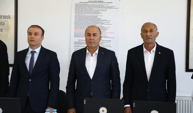 Alaca’da Hasat Sezonu Açıldı: İlk Ürünler Satıldı