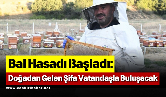 Bal Hasadı Başladı: Doğadan Gelen Şifa Vatandaşla Buluşacak