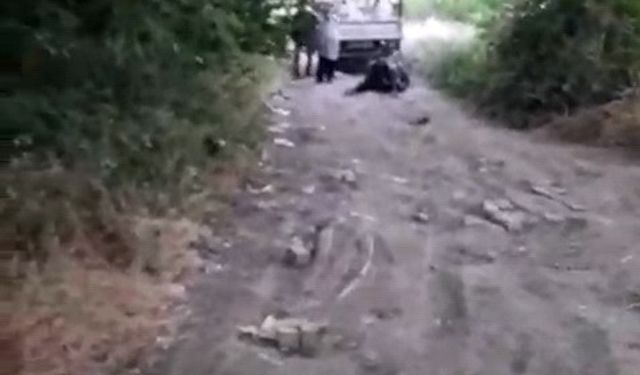 Bursa’da Vicdanları Sızlatan Görüntü: Büyükbaş Hayvanı Sürükleyip Sopayla Dövdü!