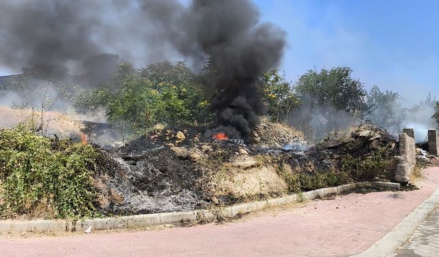 Denizli’de Boş Arazide Yangın, Meyve Ağaçları Zarar Gördü