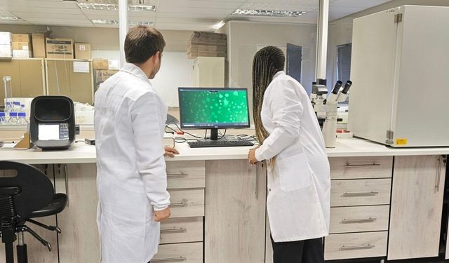 Kanser Araştırmalarına Katkı: KBÜ Öğrencisi Stajda
