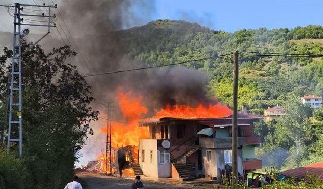 Kastamonu Cide'de Yangın Faciası: Bir Ev Kül Oldu, Eşek Telef Oldu