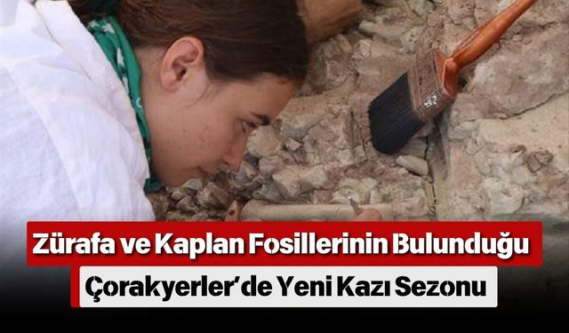 Zürafa ve Kaplan Fosillerinin Bulunduğu Çorakyerler’de Yeni Kazı Sezonu