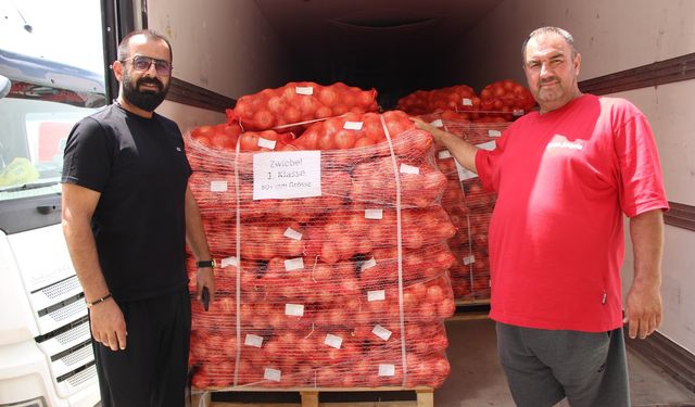 Amasya’nın Coğrafi İşaretli Soğanı Avrupa Pazarında: 500 Bin Ton Rekolte Bekleniyor