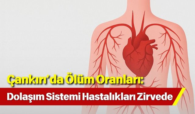 Çankırı’da Ölüm Oranları: Dolaşım Sistemi Hastalıkları Zirvede