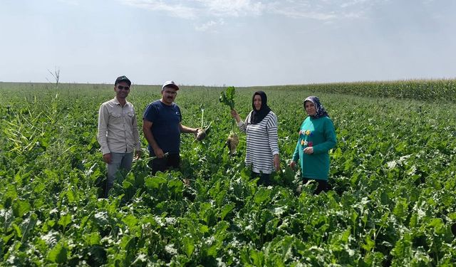 Karapınar’da Baharlık Ürünlerde Bitki Gelişimi Yerinde İncelendi