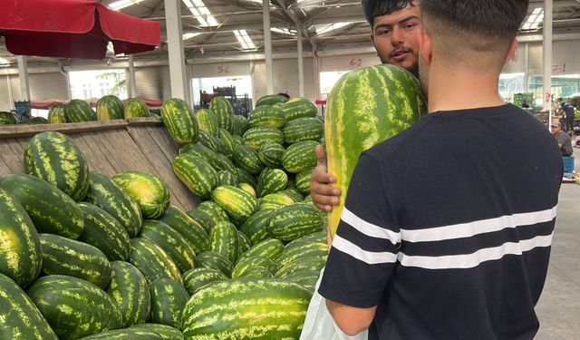 Karpuz Seçiminde Yeni Dönem: Yapay Zeka mı, Esnaf Tecrübesi mi?