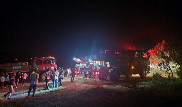 Sakarya Geyve’de Orman Yangını: 5 Dönüm Alan Zarar Gördü