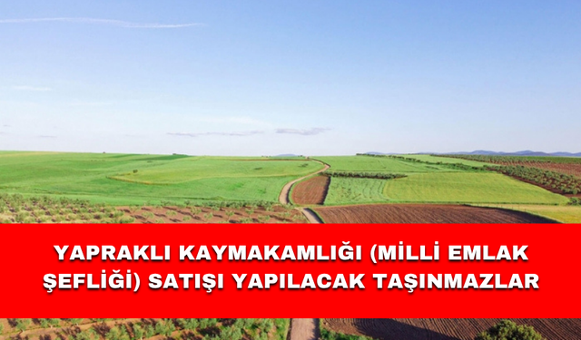YAPRAKLI KAYMAKAMLIĞI (MİLLİ EMLAK ŞEFLİĞİ) SATIŞI YAPILACAK TAŞINMAZLAR