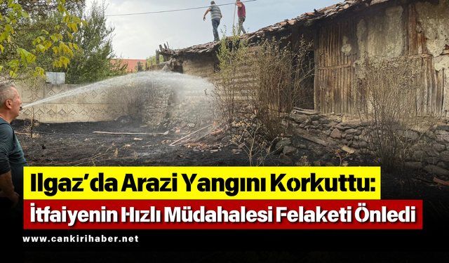 Ilgaz’da Arazi Yangını Korkuttu: İtfaiyenin Hızlı Müdahalesi Felaketi Önledi