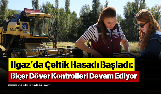 Ilgaz’da Çeltik Hasadı Başladı: Biçer Döver Kontrolleri Devam Ediyor