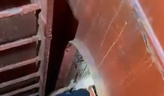 Kocaeli Safiport Limanı’nda İşçi Ambar Düşmesiyle Yaralandı