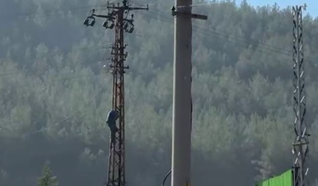 Trafik cezasına öfkelenen sürücü sanayiyi karıştırdı: Direğe çıkıp intihar girişiminde bulundu