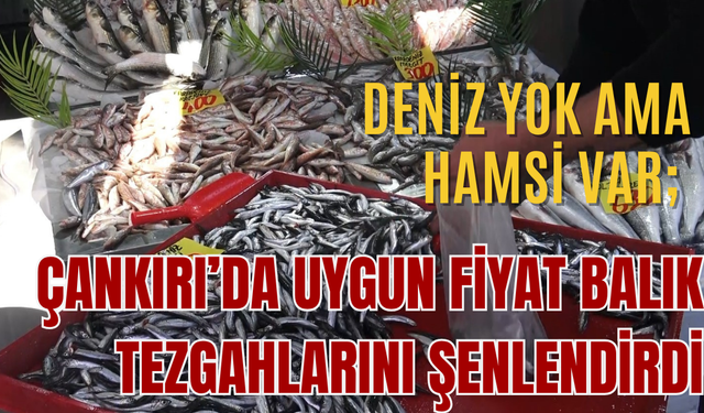 DENİZ YOK AMA HAMSİ VAR; ÇANKIRI’DA UYGUN FİYAT BALIK TEZGAHLARINI ŞENLENDİRDİ