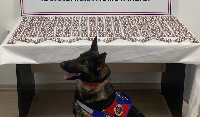 Binlerce Sentetik Ecza Hapı Ele Geçirildi: Şüpheli Tutuklandı