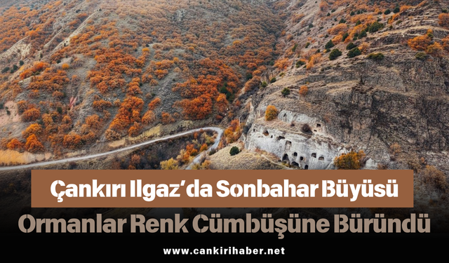 Çankırı Ilgaz’da Sonbahar Büyüsü: Ormanlar Renk Cümbüşüne Büründü
