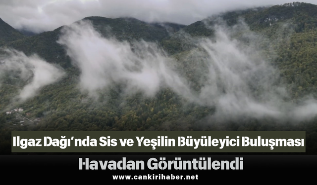 Ilgaz Dağı’nda Sis ve Yeşilin Büyüleyici Buluşması Havadan Görüntülendi