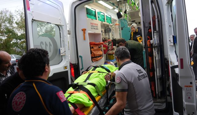 Ormanda Mantar Toplayan İmam Ayının Saldırısına Uğradı