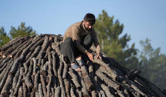 Ormanlık Bölgede Çadırda Yaşam Torlukçuların 6 Aylık Kömür Mücadelesi