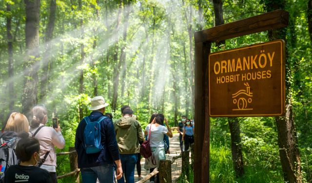 Ormanya’da Rekor! 2 Milyonun Üzerinde Ziyaretçi Ağırladı!