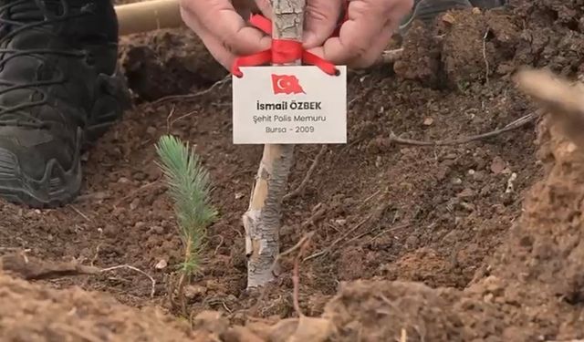 Şehitler İçin Fidanlar Toprakla Buluştu