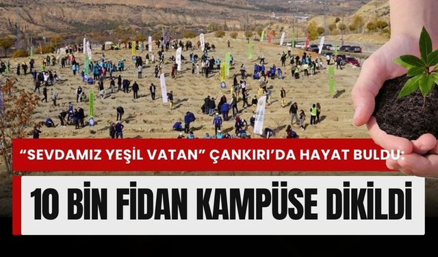 “Sevdamız Yeşil Vatan” Çankırı’da Hayat Buldu: 10 Bin Fidan Kampüse Dikildi