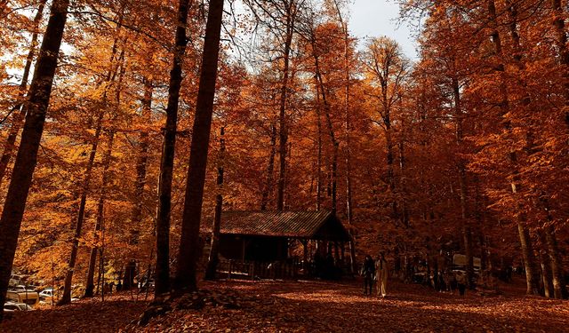 Sonbaharın Renk Cümbüşü Yedigöller’de Hafta Sonu Ziyaretçi Akını