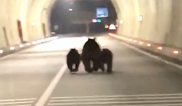 3 Ayı 1100 Metrelik Tüneli Koşarak Geçti