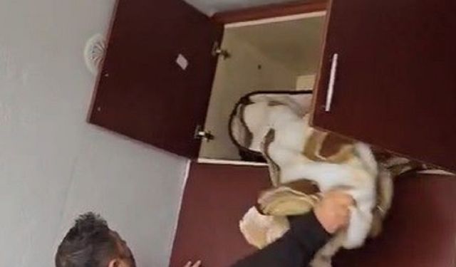 49 Suçtan Aranan Şahıs Şoke Eden Yerde Yakalandı!