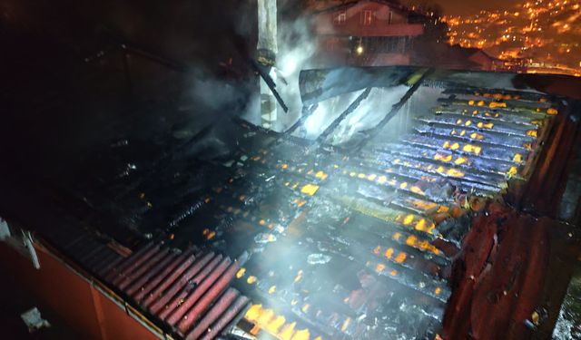 İtfaiyeden Duygulandıran Kurtarma Yangında Mahsur Kalan Papağan Kurtarıldı