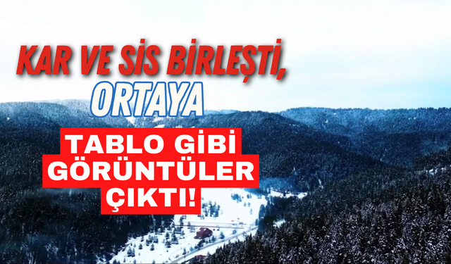 Kar ve Sis birleşti, Ortaya Tablo Gibi Görüntüler Çıktı!