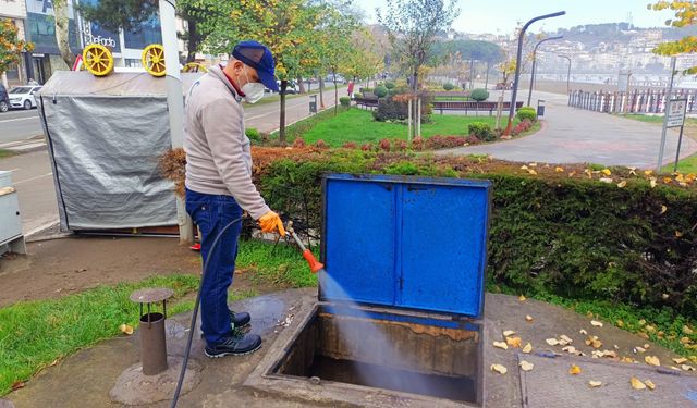 Sivrisinek ve haşerelere kış önlemi: Belediye harekete geçti!
