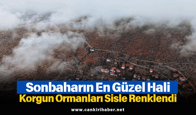 Sonbaharın En Güzel Hali: Korgun Ormanları Sisle Renklendi