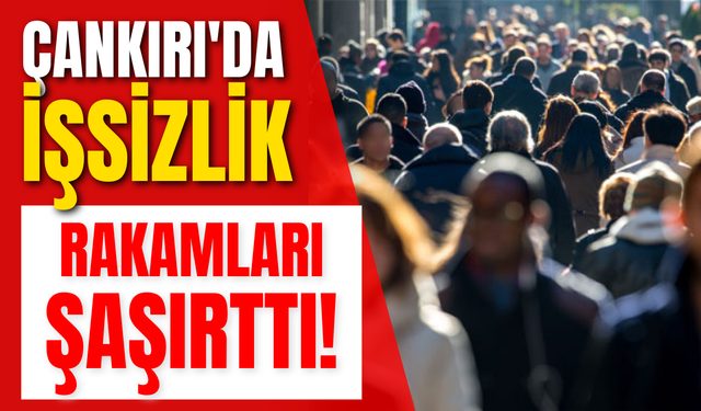 Çankırı'da İşsizlik Rakamları Şaşırttı!