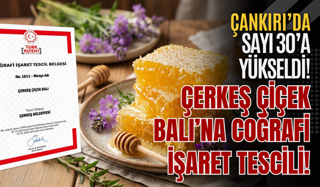 Çerkeş Çiçek Balı’na Coğrafi İşaret Tescili! Çankırı’da Sayı 30’a Yükseldi!