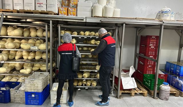 Gıda Denetimlerinde Şeffaflık ve Güvenlik: Yaka Kamerası Dönemi