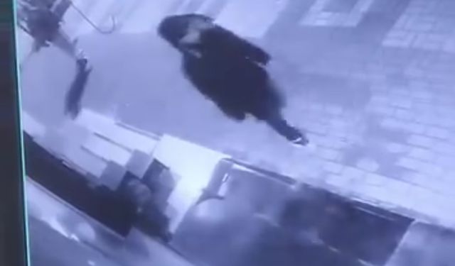 Park Halindeki Araçlara Saldırdılar, Kameraya Yakalandılar