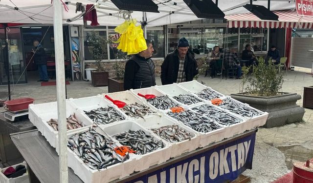 Tezgâhların Yıldızı Hamsi Oldu: Balıkçı Esnafı Sezonu Değerlendirdi
