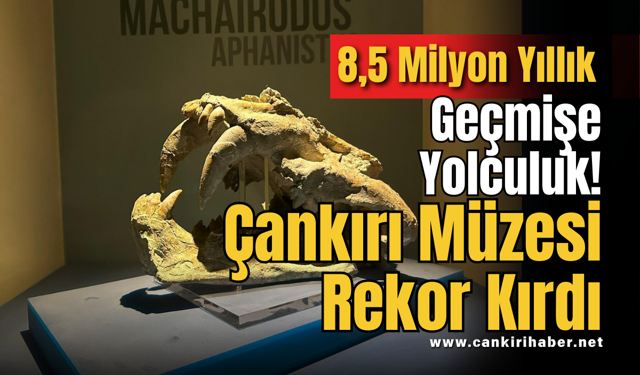 8,5 Milyon Yıllık Geçmişe Yolculuk! Çankırı Müzesi Rekor Kırdı