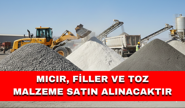 MICIR, FİLLER VE TOZ MALZEME SATIN ALINACAKTIR