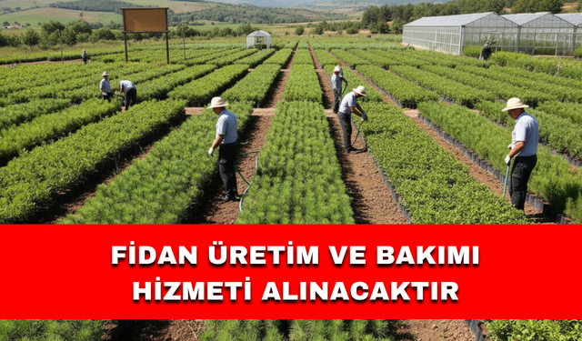 FİDAN ÜRETİM VE BAKIMI HİZMETİ ALINACAKTIR