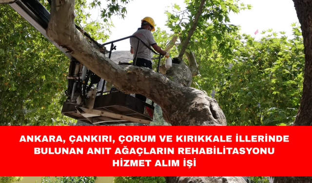 ANKARA, ÇANKIRI, ÇORUM VE KIRIKKALE İLLERİNDE BULUNAN ANIT AĞAÇLARIN REHABİLİTASYONU HİZMET ALIM İŞİ