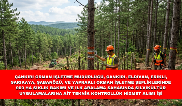 ÇANKIRI ORMAN İŞLETME MÜDÜRLÜĞÜ, ÇANKIRI, ELDİVAN, ERİKLİ, SARIKAYA, ŞABANÖZÜ, VE YAPRAKLI ORMAN İŞLETME ŞEFLİKLERİ